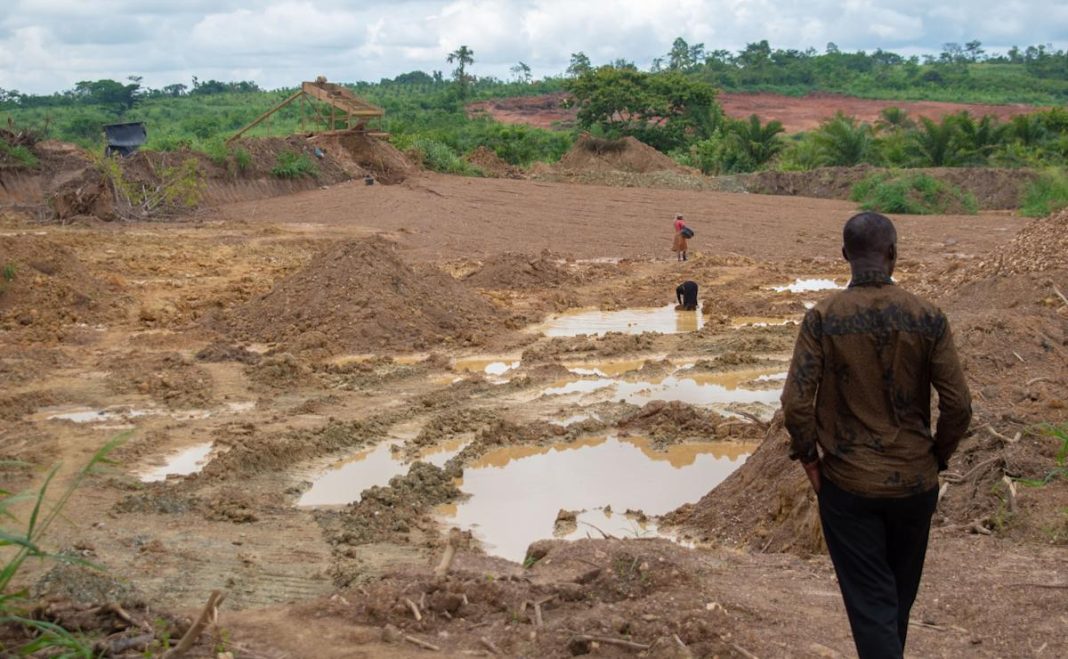 Menacing Violations: Impact of Illicit Actions on Our Protected Lands