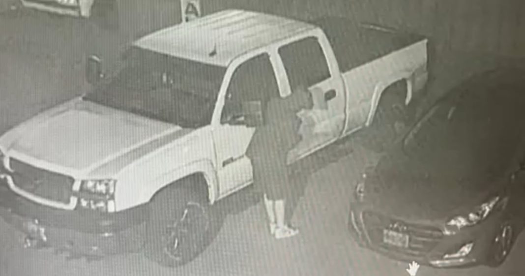 Insurance Rates Stay Elevated Despite Drop in Car Theft Incidents, Say Experts.