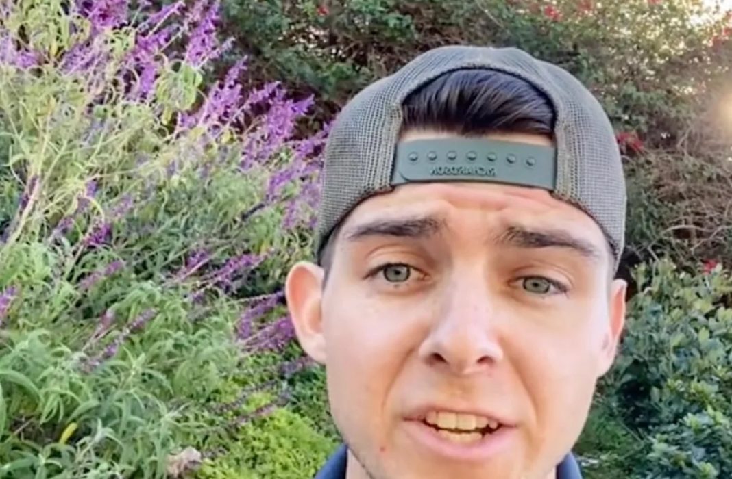 Unveiling the Risks: Expert Warns of Stunning Plant's Hidden Hazards